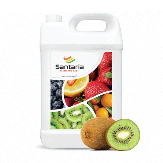 KIWI SYRUP image 0