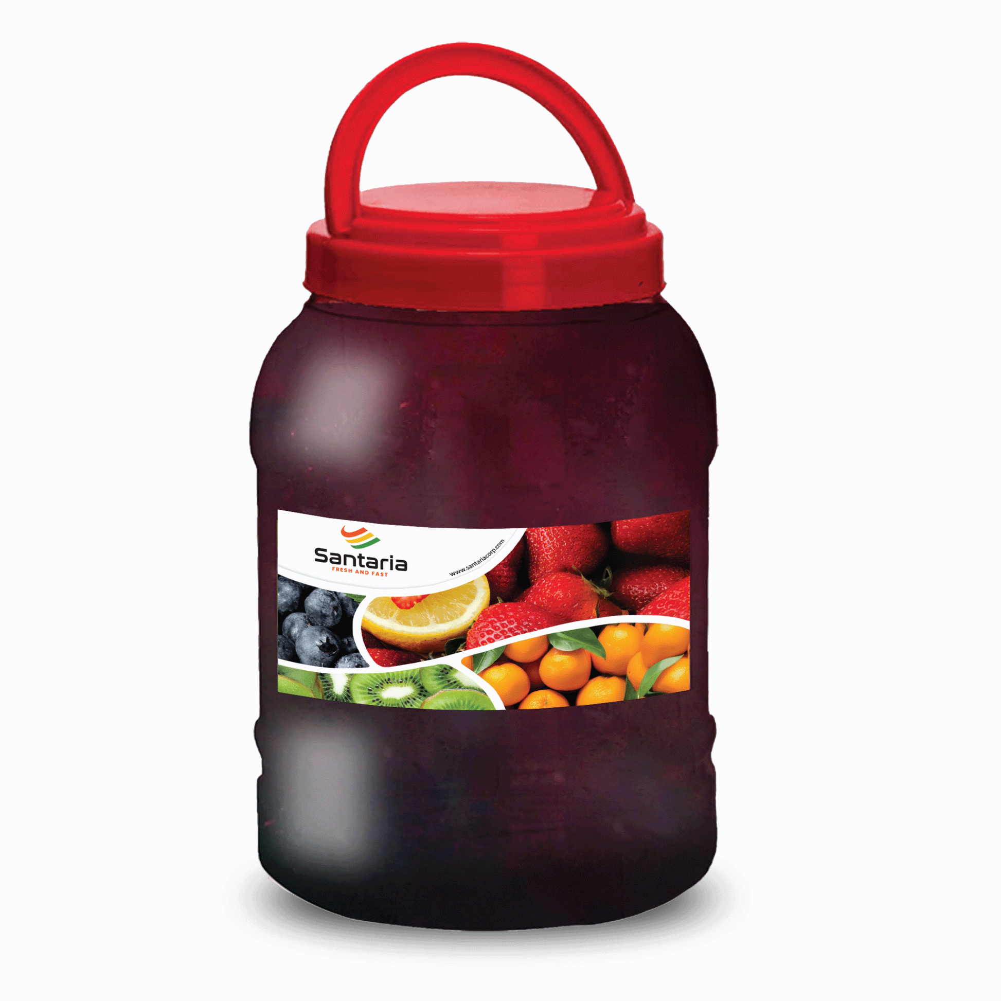 PREMIUM BLUEBERRY JAM image 0