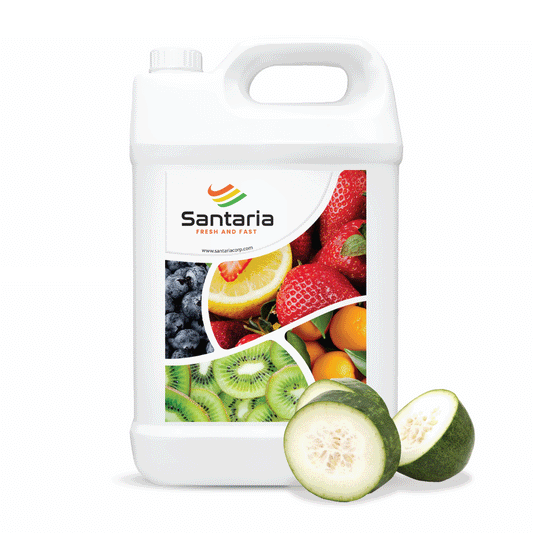 WINTERMELON SYRUP image 0